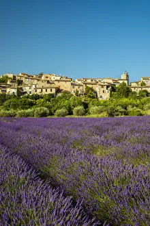 View of village of Saignon with field of lavander in bloom, Provence, France View of village of Saignon with field of lavander in bloom, Provence, France