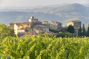 Vineyard and village