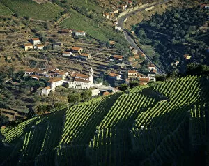 Terraced Gallery: Vineyards at the Douro region, the origin of the world famous Port wine