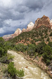 Virgin river, Zion National Park, Utah, USA Virgin river, Zion National Park, Utah, USA