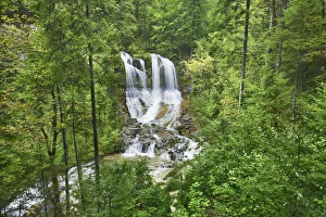 Weissbach Falls Print - Inzell, Germany