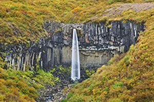 Vatnajokull National Park Gallery: Waterfall Svartifoss with basalt rocks - Iceland, Eastern Region, Skaftafell