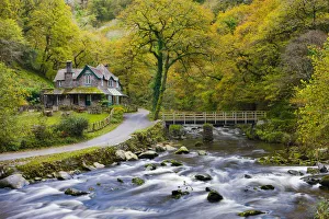 Devon Prints: Watersmeet House Autumn Print, Exmoor National Park, Devon