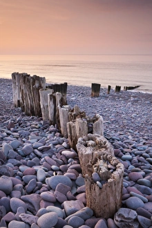 Weathered wooden groyne on Bossington Beach at sunset, Exmoor National Park, Somerset Weathered wooden groyne on Bossington Beach at sunset, Exmoor National Park, Somerset