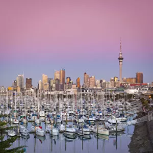 Sky Tower Gallery: Westhaven Marina & city skyline illuminated at dusk, Waitemata Harbour, Auckland