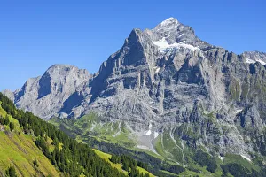 Wetterhorn, Grindelwald, Berner Oberland, Canton Berne, Switzerland Wetterhorn, Grindelwald, Berner Oberland, Canton Berne, Switzerland