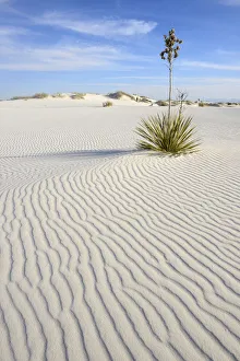White Sands National Monument, New Mexico, USA White Sands National Monument, New Mexico, USA