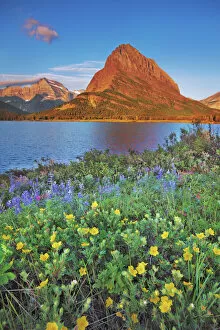 Glacier National Park Gallery: wildflowers at Swiftcurrent Lake with Mount Grinnell - USA, Montana