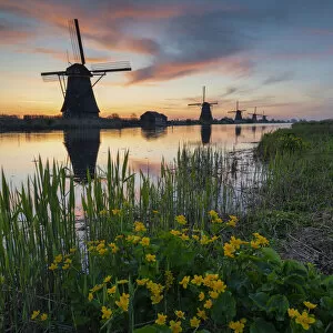Tom Mackie Gallery: Windmills of Kinderdijk at Sunrise, Holland, Netherlands
