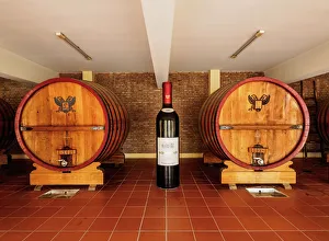 Wine Barrels, Bodegas Lopez, Maipu, Mendoza Province, Argentina Wine Barrels, Bodegas Lopez, Maipu, Mendoza Province, Argentina