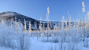 Winter landscape along Chena Hot Springs road, Fairbanks, Alaska, USA Winter landscape along Chena Hot Springs road, Fairbanks, Alaska, USA