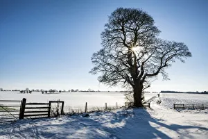 Winter Landscape, Cotswolds, Gloucestershire, England Winter Landscape, Cotswolds, Gloucestershire, England