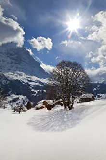 Winter landscape, Grindelwald, Jungfrau region, Bernese Oberland, Swiss Alps, Switzerland Winter landscape, Grindelwald, Jungfrau region, Bernese Oberland, Swiss Alps, Switzerland