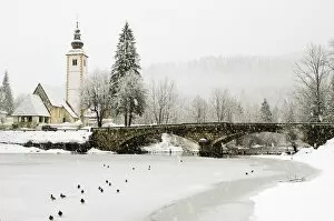 Images Dated 20th February 2006: Winter scene in village in Slovenia