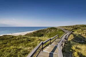 Images Dated 11th July 2014: Wodden path in the dunes, Wenningstedt, Sylt Island, Northern Frisia, Schleswig-Holstein