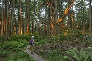 Images Dated 6th December 2012: Woman admiring the forest at Cape Alava, Olympic National Park, Clallam County, Washington