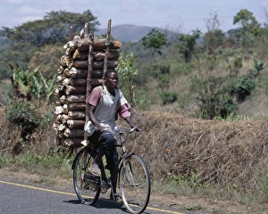 Wood sellers carry heavy loads of wood on their bicycles Wood sellers carry heavy loads of wood on their bicycles
