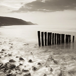 Wooden groynes on Bossington Beach at sunset, Exmoor National Park, Somerset, England Wooden groynes on Bossington Beach at sunset, Exmoor National Park, Somerset, England