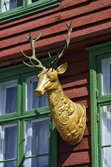 Wooden statue of a deer on a house facade Wooden statue of a deer on a house facade