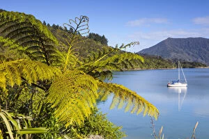 Images Dated 31st March 2014: Yacht anchored in the picturesque Kenepuru Sound, Marlborough Sounds, South Island