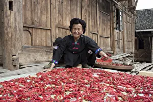 Yao lady drying chillies, Longji, China Yao lady drying chillies, Longji, China