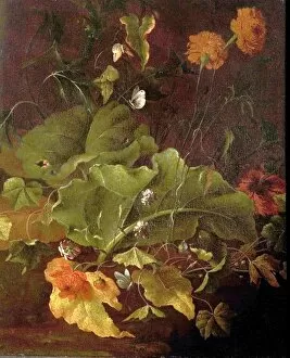 Still Life Gallery: Dock Leaves and Other Flowers - James Sillett