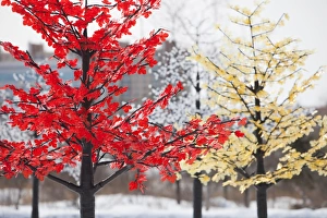 Artificial trees on the streets of the border city of Heihe in Northern China, Heilongjiang province Artificial trees on the streets of the border city of Heihe in Northern China, Heilongjiang province