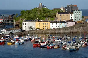 Urban Scene Gallery: Boats, houses and harbour, evening, Tenby Harbour, Pembrokeshire, Wales, UK, Europe