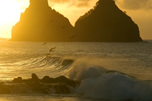 Boobies feeding at dusk and Dois Irmaos, Fernando de Noronha national marine sanctuary Boobies feeding at dusk and Dois Irmaos, Fernando de Noronha national marine sanctuary