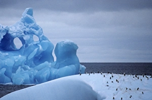 Close white iceberg with penguins on top, and eroded blue iceberg behind. Nearing Antarctic Peninsula Close white iceberg with penguins on top, and eroded blue iceberg behind. Nearing Antarctic Peninsula