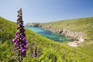 S049 Collection: Cornish coastal scenery at Polgigga near Lands End, Cornwall, UK