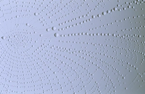 Dewdrops on a spiders web on an early autumn morning, UK Dewdrops on a spiders web on an early autumn morning, UK