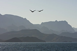 Las Gigantas mountain range from the Gulf of California (Sea of Cortez) just outside of Loreto, Baja California Sur Las Gigantas mountain range from the Gulf of California (Sea of Cortez) just outside of Loreto, Baja California Sur