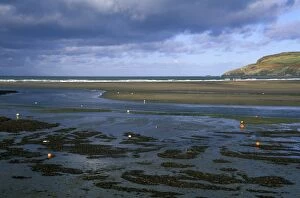 Images Dated 22nd October 2008: Low tide, Newport Beach, Newport, Pembrokeshire, Wales, UK, Europe