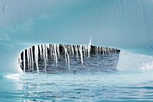 Detail of a melting iceberg (note the dripping icicles) grounded at Heroina Island in the Weddell Sea, Antarctica Detail of a melting iceberg (note the dripping icicles) grounded at Heroina Island in the Weddell Sea, Antarctica