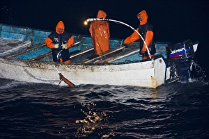 Night fishery for Humbolt Squid (Dosidicus gigas) in the Gulf of California Night fishery for Humbolt Squid (Dosidicus gigas) in the Gulf of California