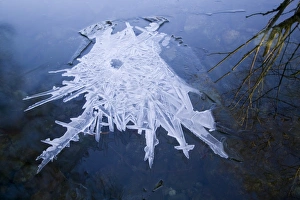 A partially frozen river in Easedale near Grasmere in the Lake District during a cold snap Global warming has caused a A partially frozen river in Easedale near Grasmere in the Lake District during a cold snap Global warming has caused a