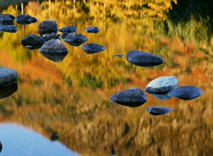 Reflections in Blea Tarn in the Lake District UK Reflections in Blea Tarn in the Lake District UK