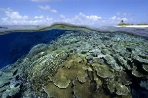 Split Image Collection: Split image of pristine coral reef and deserted island, Rongelap, Marshall Islands, Micronesia