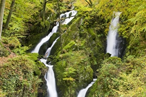Stock Ghyll waterfall and surrounding woodland in autumn colours in Ambleside Lake District UK Stock Ghyll waterfall and surrounding woodland in autumn colours in Ambleside Lake District UK