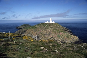 Strumble Head lighthouse in Pembrokeshire (West Wales) is a reknowned location for seeing Strumble Head lighthouse in Pembrokeshire (West Wales) is a reknowned location for seeing