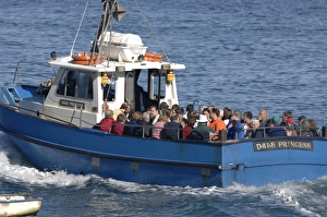 Tourists aboard the Dale Princess, Martins Haven, Pembrokeshire, Wales, UK, Europe Tourists aboard the Dale Princess, Martins Haven, Pembrokeshire, Wales, UK, Europe