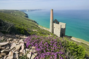 Towan Roath engine house at St Agnes Cornwall UK Towan Roath engine house at St Agnes Cornwall UK
