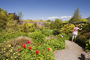 Winsford walled garden in Devon UK. A restored victorian walled garden Winsford walled garden in Devon UK. A restored victorian walled garden