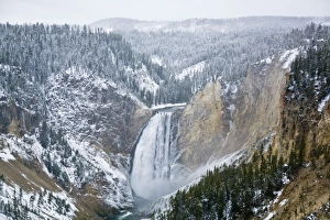 Yellowstone Falls on the Yellowstone River in Yellowstone National Park.in the late fall Yellowstone Falls on the Yellowstone River in Yellowstone National Park.in the late fall