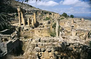 Archaeological Site of Cyrene Collection: 20062192