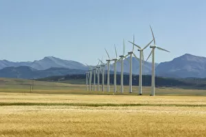 canada, alberta, cowley, the latest generation of vestas wind turbines with a wheat field