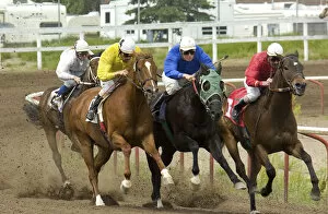 Images Dated 3rd November 2009: Canada, Alberta, Lethbridge Horse racing at the Rocky Mountain Turf Club