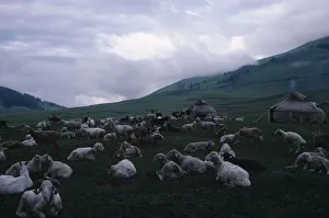 CHINA Xinjiang Kazakh Kazakh nomad felt tents or kigizuy in summer pasture with sheep CHINA Xinjiang Kazakh Kazakh nomad felt tents or kigizuy in summer pasture with sheep