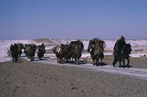 Images Dated 24th July 2008: CHINA Xinjiang Province People Kazakh minority people moving camp riding horses